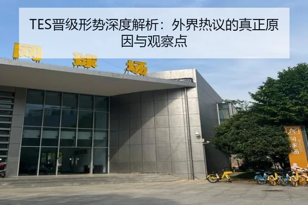 TES晋级形势深度解析：外界热议的真正原因与观察点